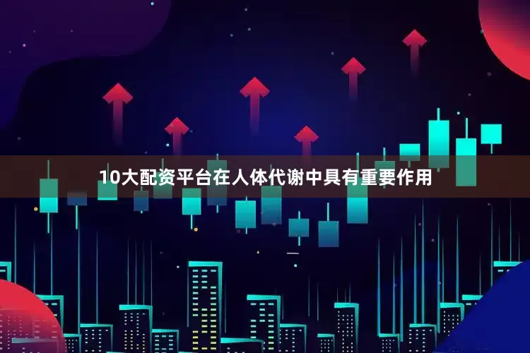 10大配资平台在人体代谢中具有重要作用