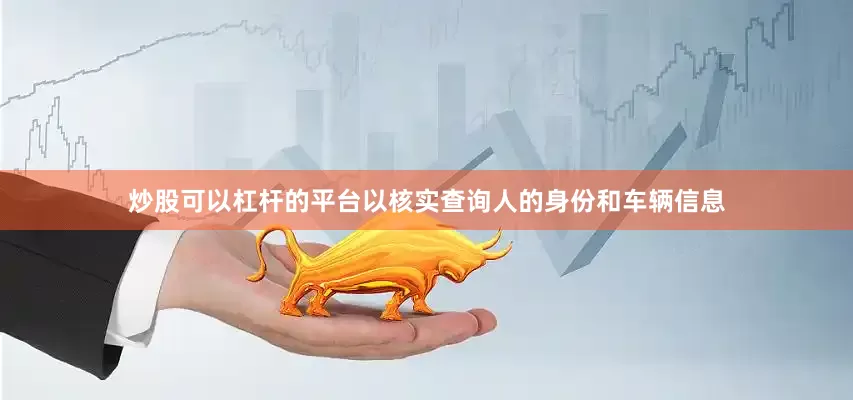 炒股可以杠杆的平台以核实查询人的身份和车辆信息