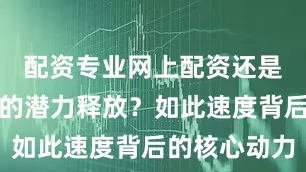 配资专业网上配资还是产业体系的潜力释放？如此速度背后的核心动力